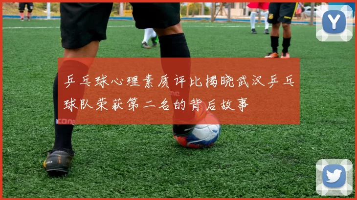 乒乓球心理素质评比揭晓武汉乒乓球队荣获第二名的背后故事