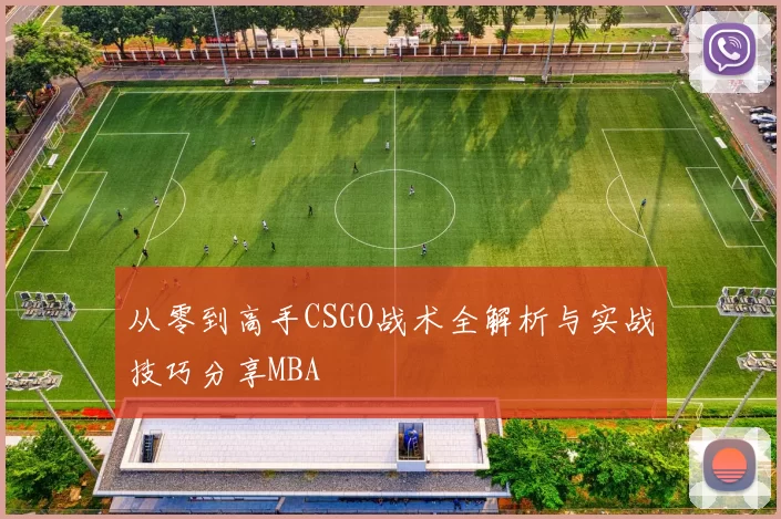 从零到高手CSGO战术全解析与实战技巧分享MBA