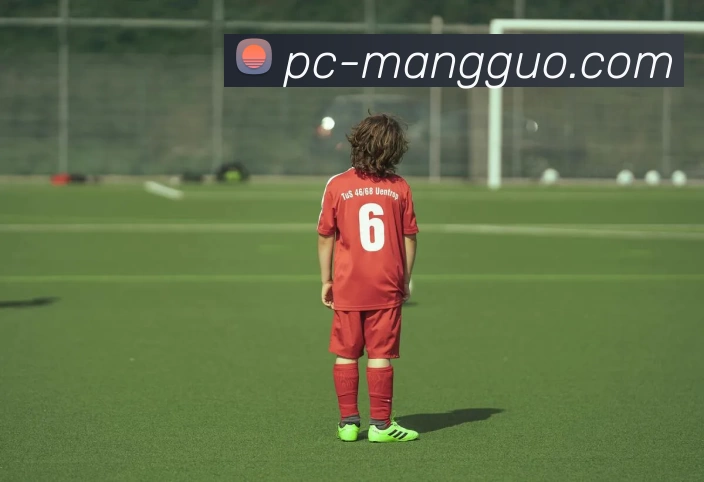 芒果体育发展历程