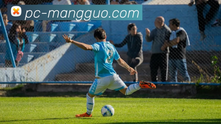 芒果体育平台生态图